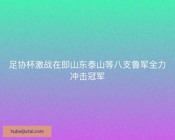 足协杯激战在即山东泰山等八支鲁军全力冲击冠军 足协杯激战在即山东泰山等八支鲁军全力冲击冠军