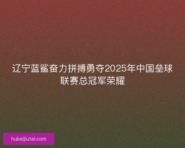 辽宁蓝鲨奋力拼搏勇夺2025年中国垒球联赛总冠军荣耀